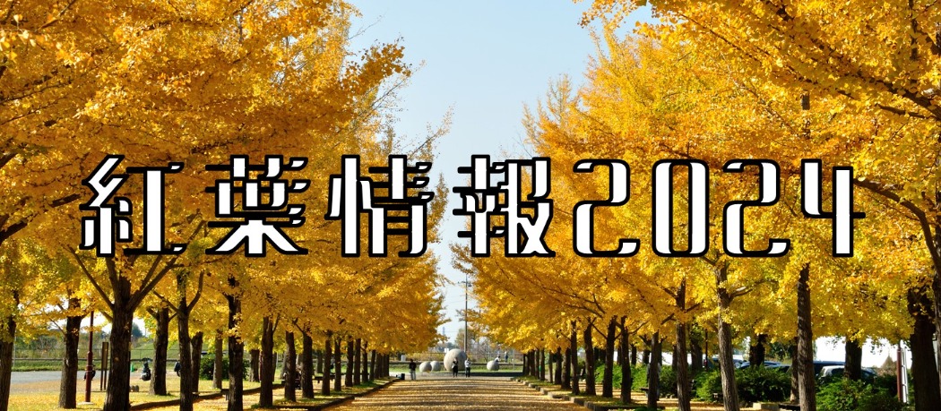 さくら開花情報