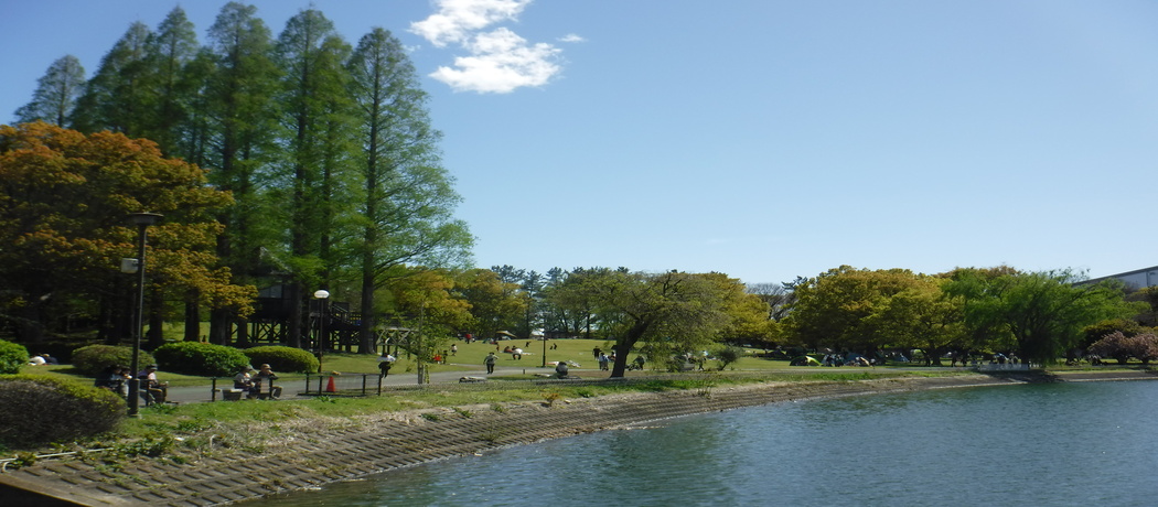 久喜菖蒲公園