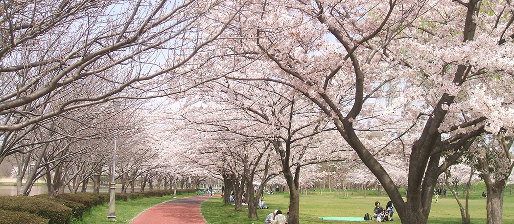 風景
