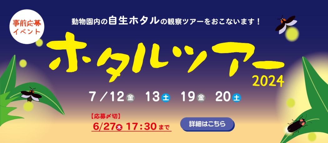 どこいくおっか