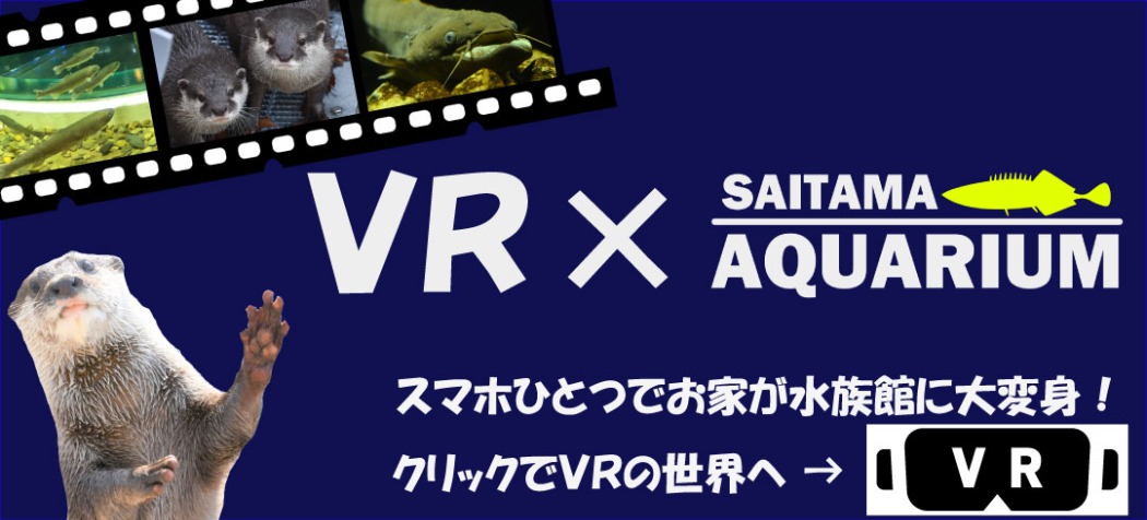 VR水族館（さいたま水族館）