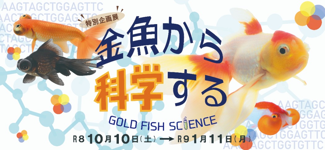 令和8年秋冬特別展