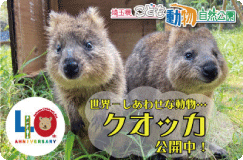 埼玉県こども動物自然公園