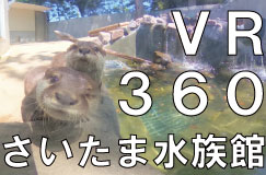 VRさいたま水族館