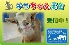 智光山公園こども動物園