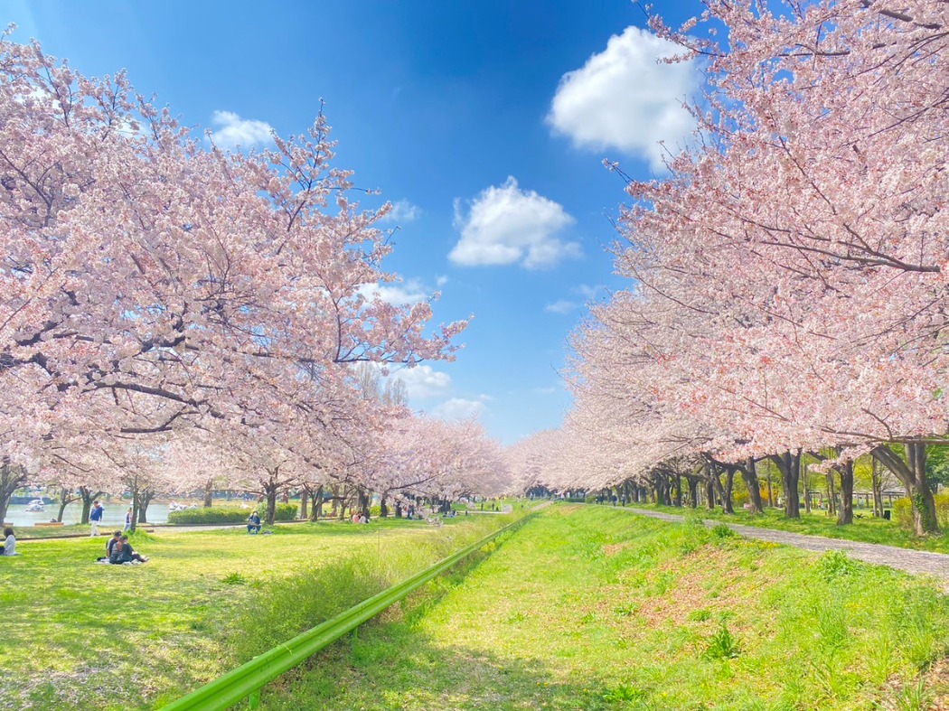 3月29日