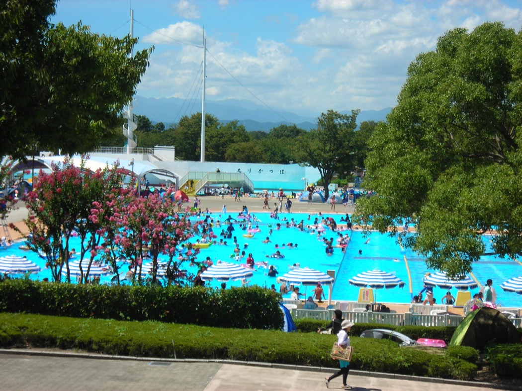 樹木の情報 夏の花 川越公園 川越水上公園 公益財団法人埼玉県公園緑地協会