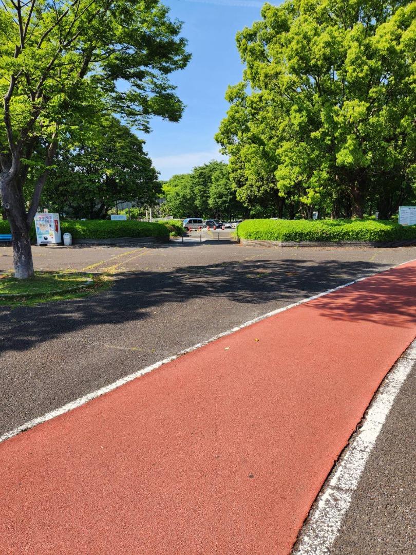 アイス自販機隣の植栽の間へ
