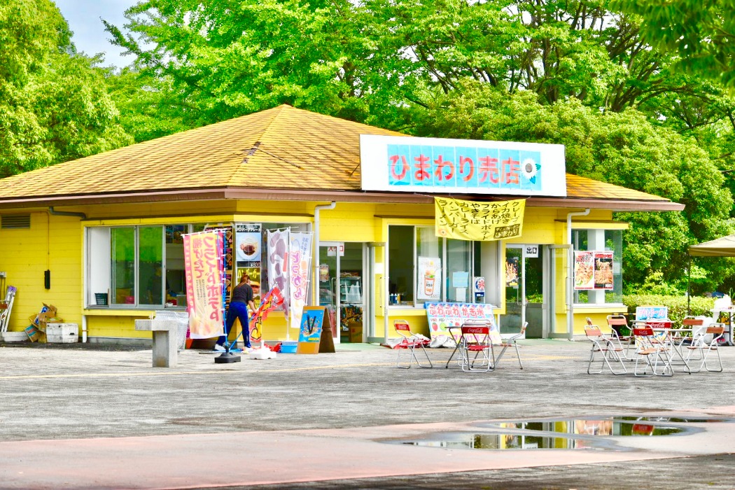 ひまわり売店