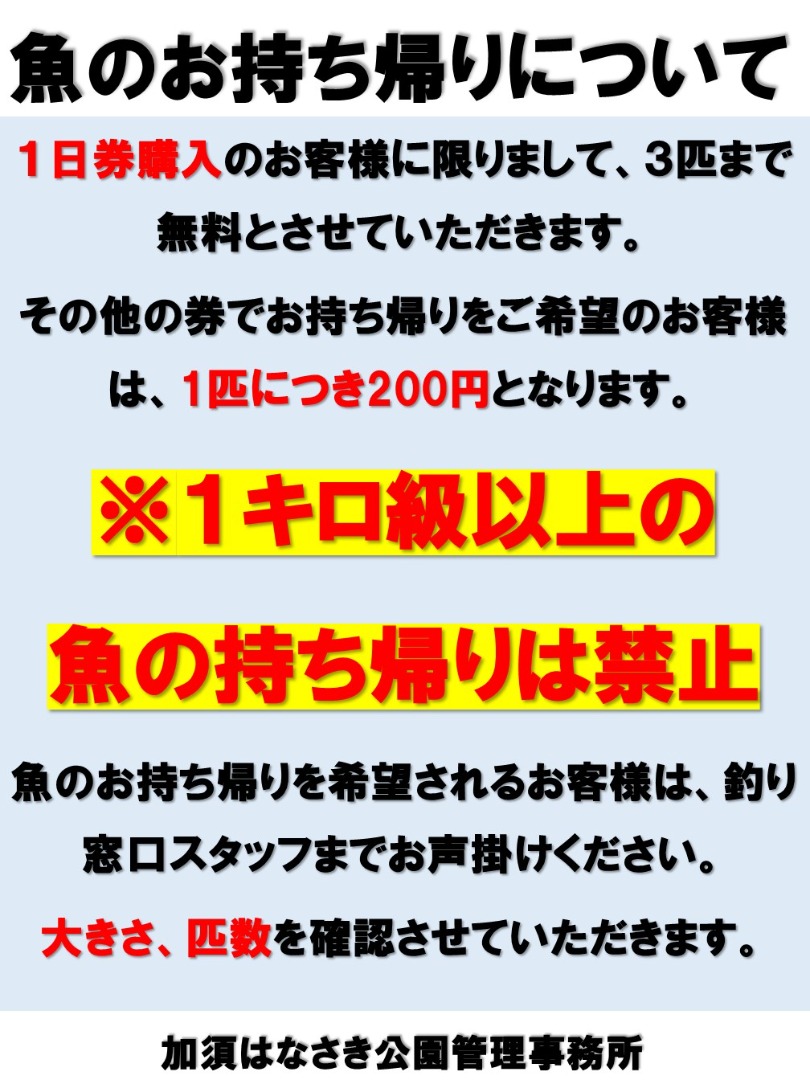 魚の持ち帰りについて
