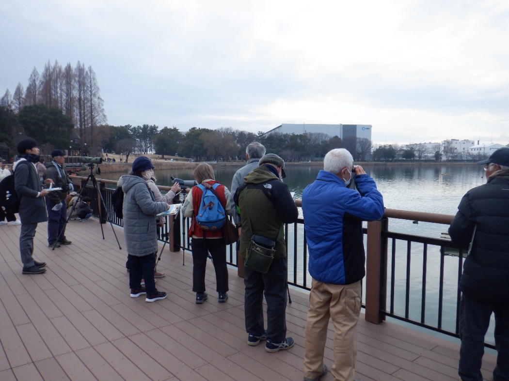 ビギナーズ探鳥会