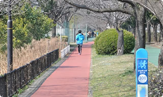キャプション(編集は画像ボタンから)