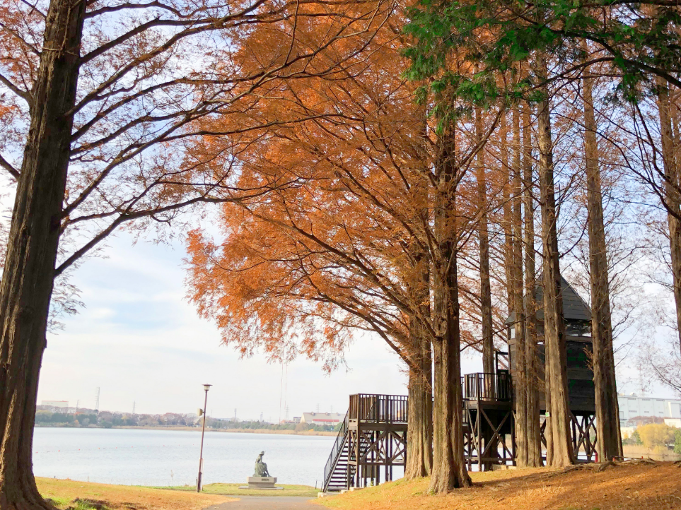 キャプション(編集は画像ボタンから) 紅葉風景