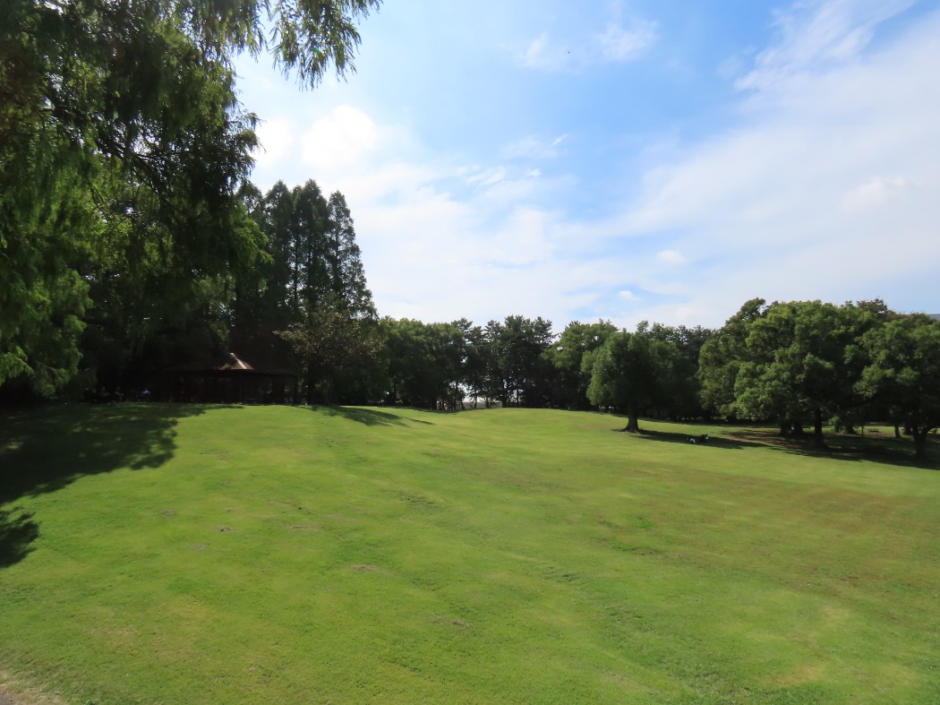 キャプション(編集は画像ボタンから) 芝生広場