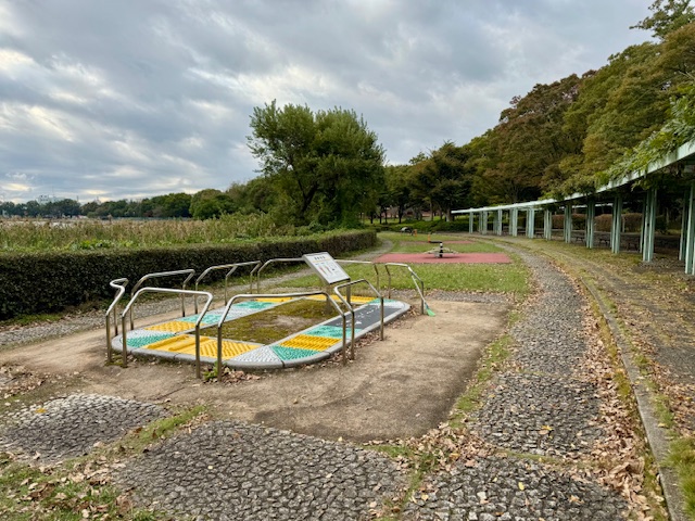 キャプション(編集は画像ボタンから) 健康遊具