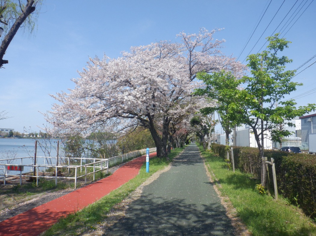 キャプション(編集は画像ボタンから) サイクリングコース
