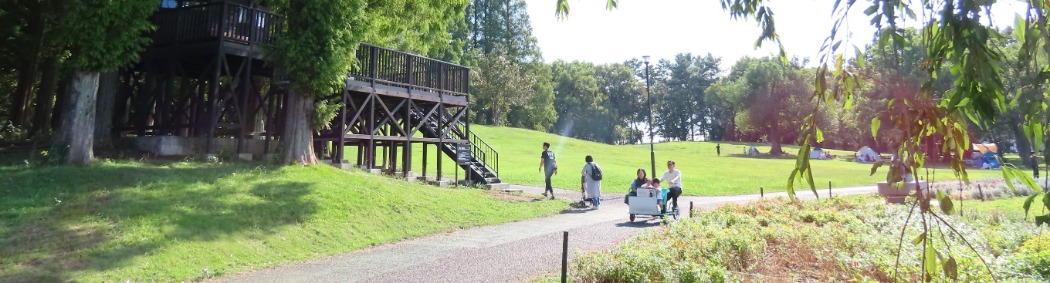 公園