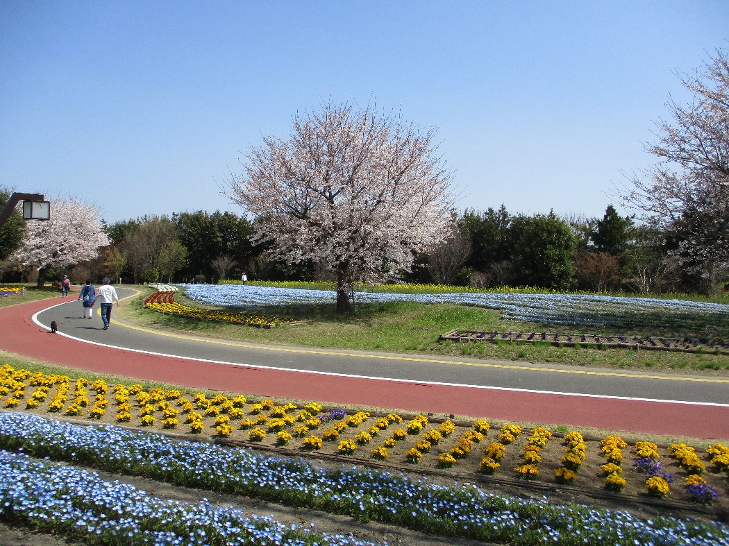 ジョギング ウォーキングコース 熊谷スポーツ文化公園 公益財団法人埼玉県公園緑地協会