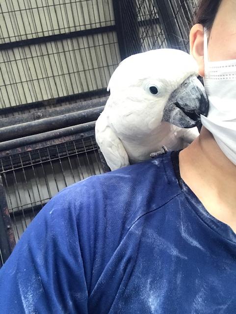 横からも…