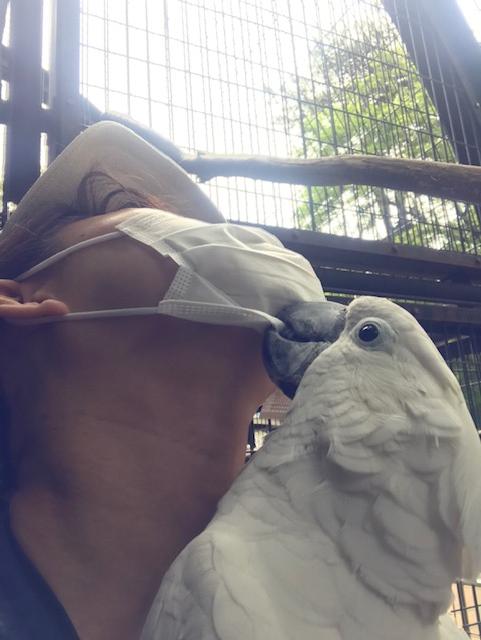 静かに抵抗するものの