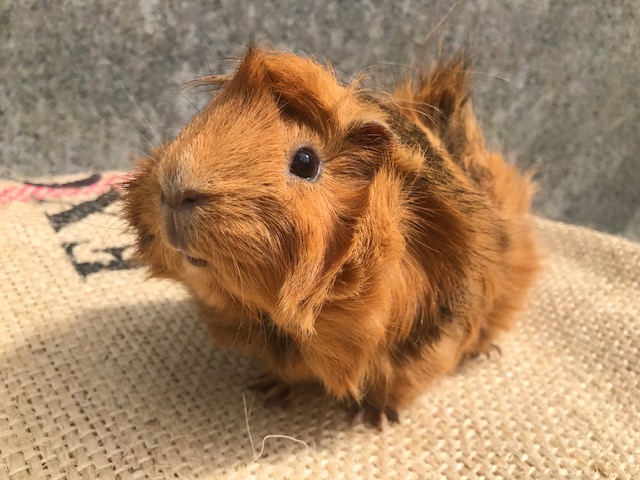 顔もうねうね