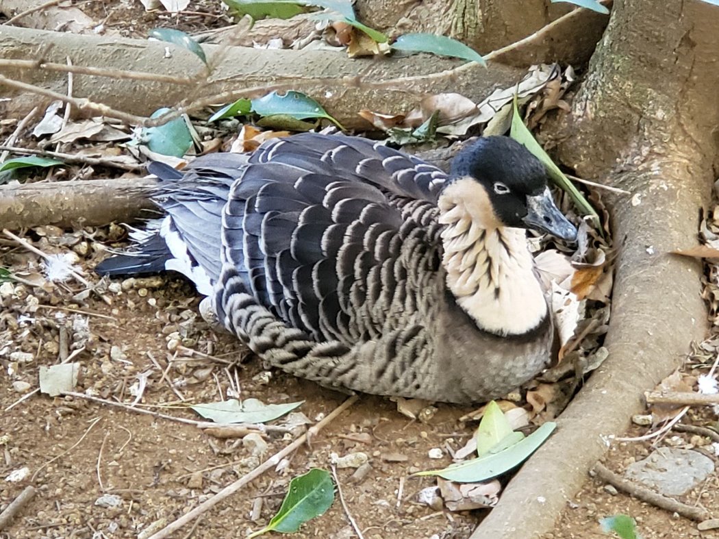 座り込んでいるところ