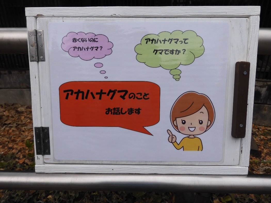 解説ラベル 表