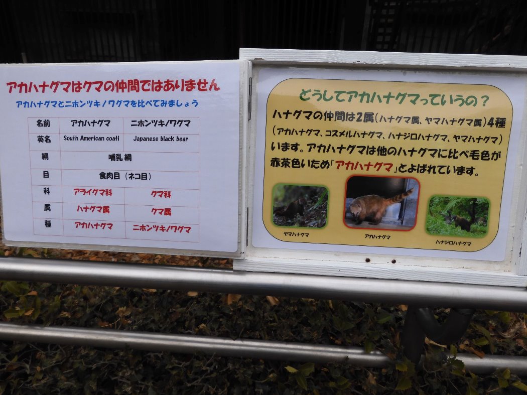 解説ラベル 見開き