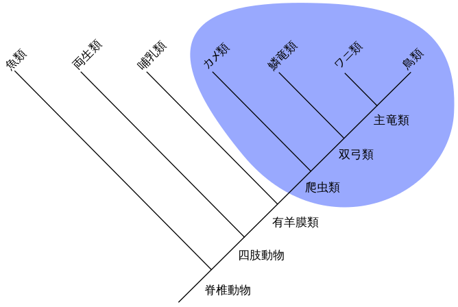 生物の系統樹