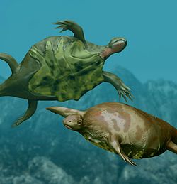最古のカメ オドントリケス