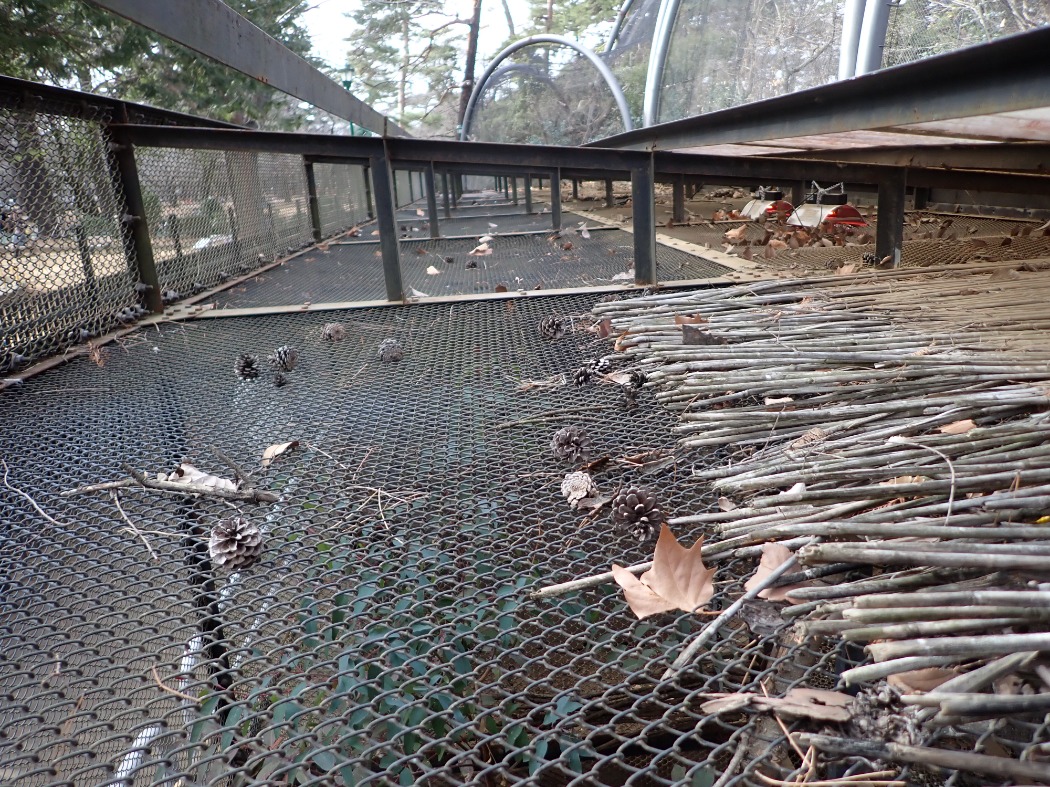 キジ舎の屋根上 before 整備前