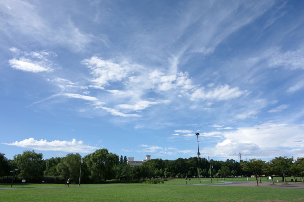 みぬまの広場