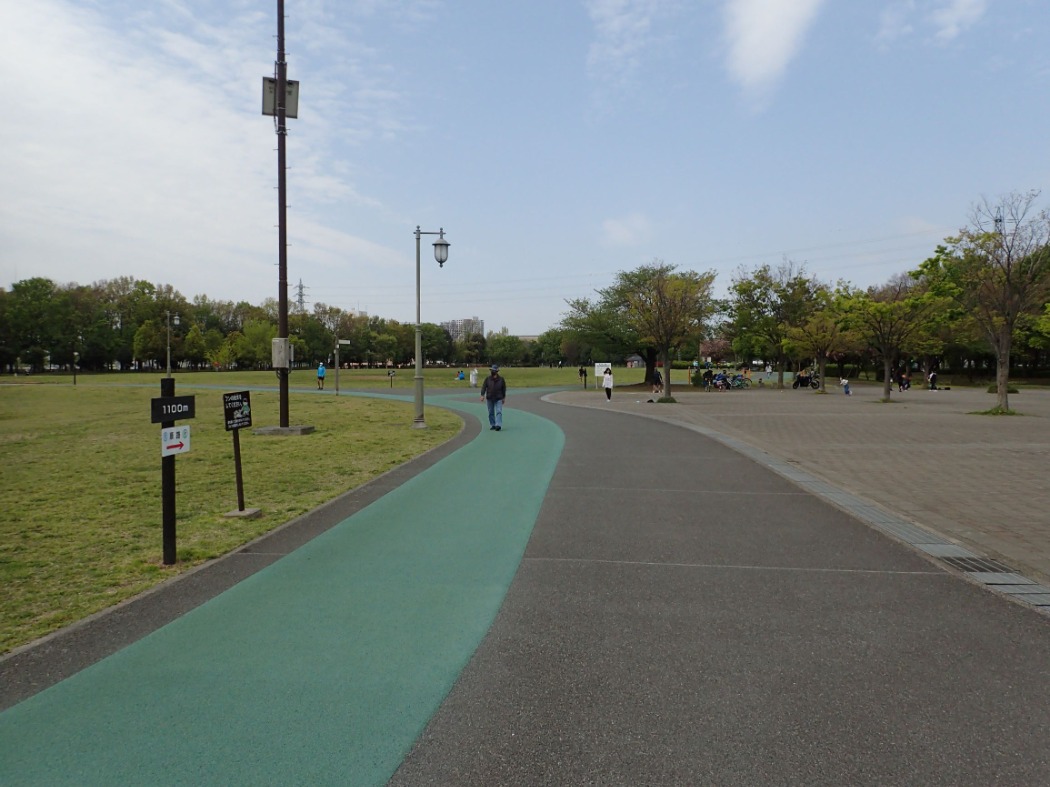 ジョギングコース 第三公園 大宮第二 第三公園 公益財団法人埼玉県公園緑地協会