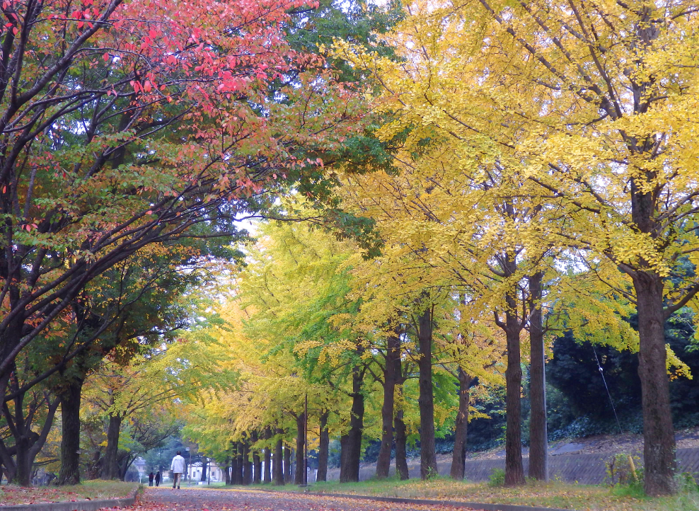 川越公園