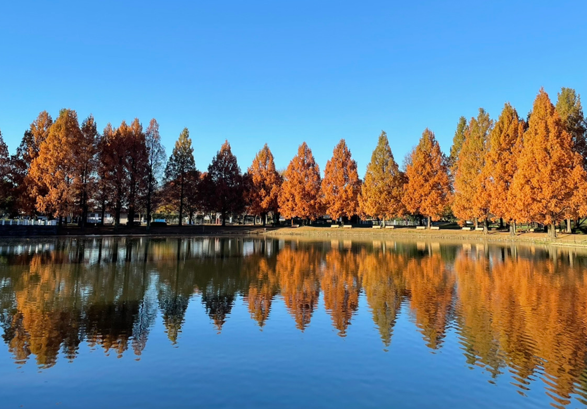 川越公園