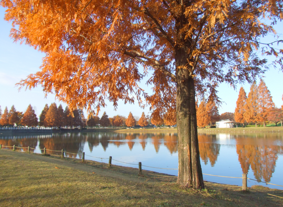 川越公園