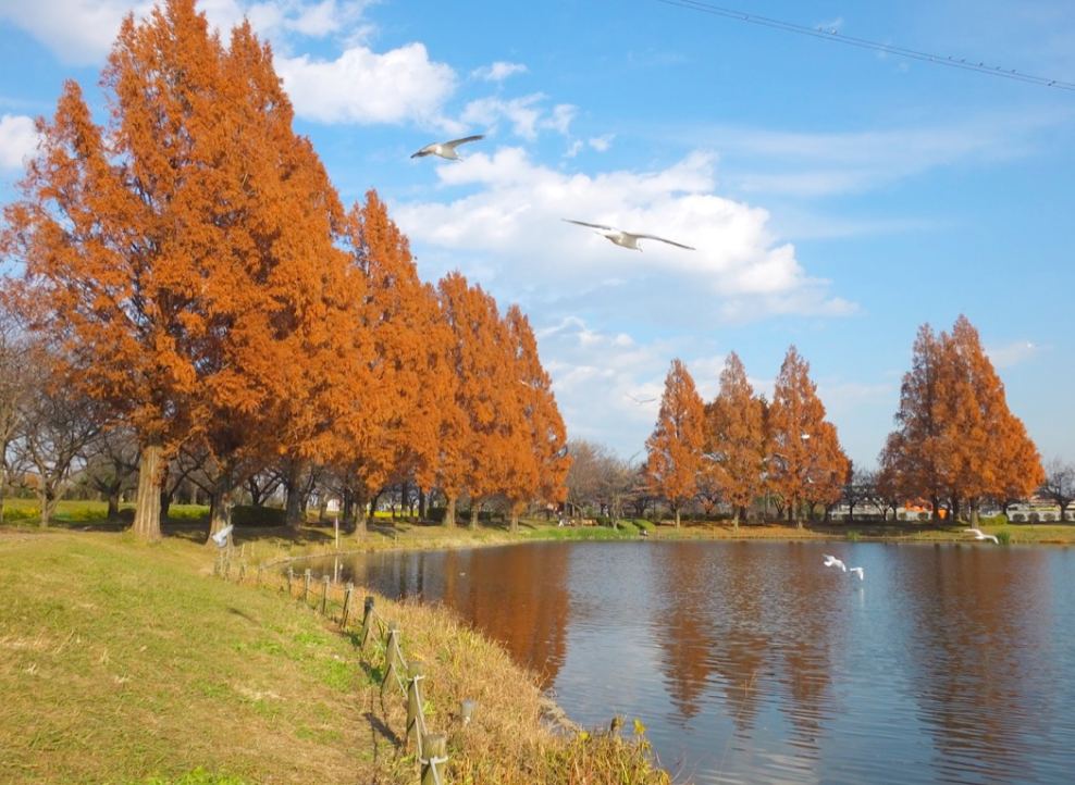 川越公園