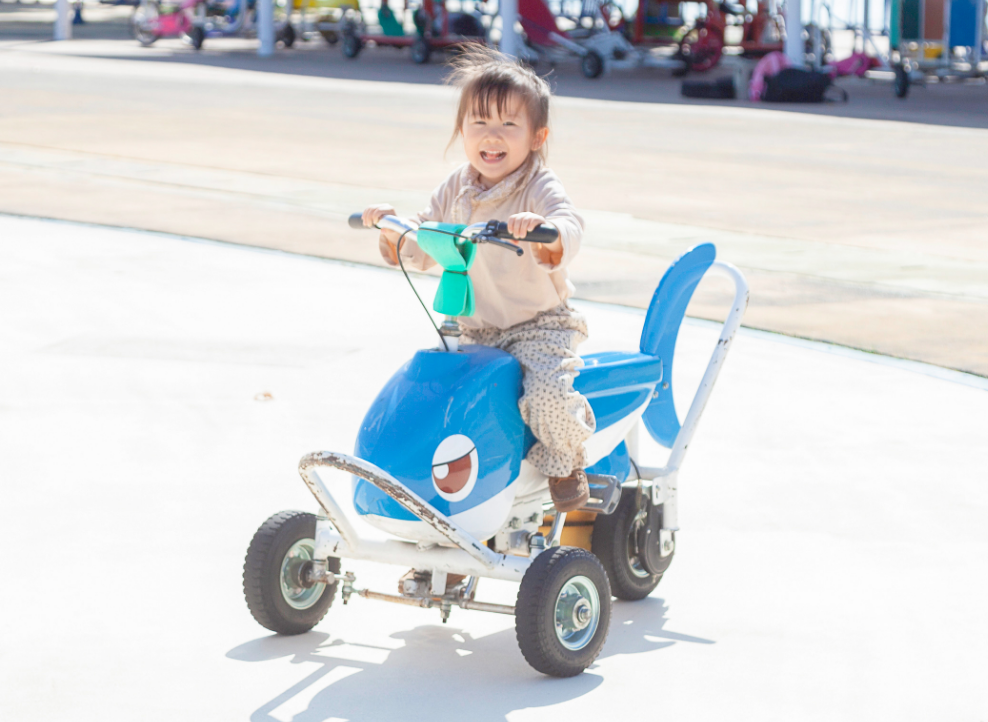 さめサイクル