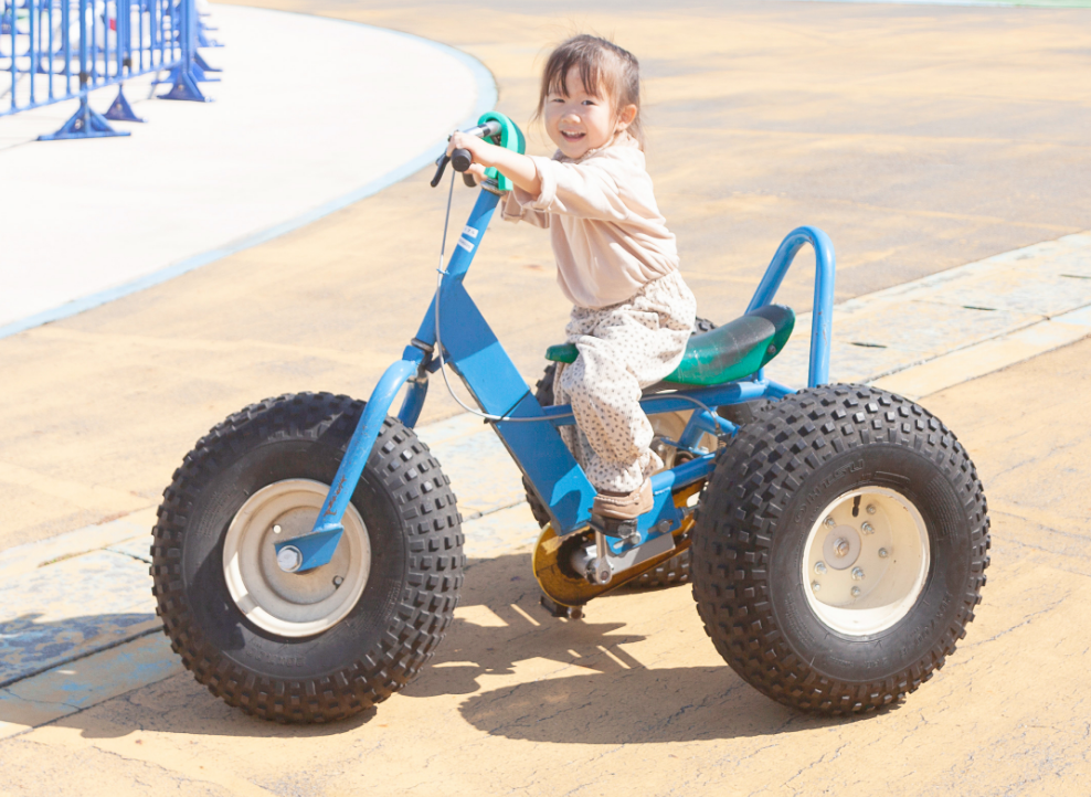 バギーサイクル