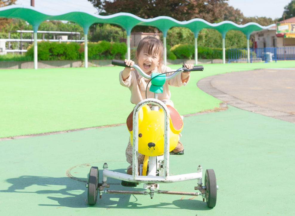 子犬サイクル