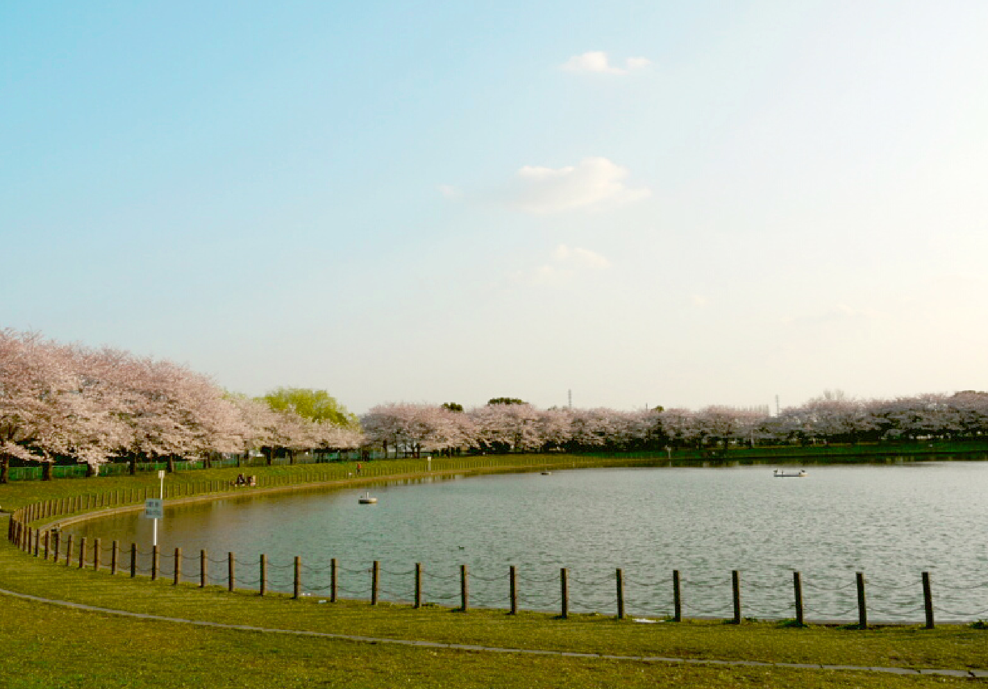 県民健康福祉村