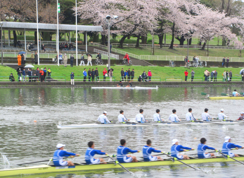 戸田公園の漕艇