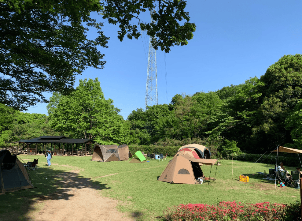 智光山公園で焚き火キャンプ