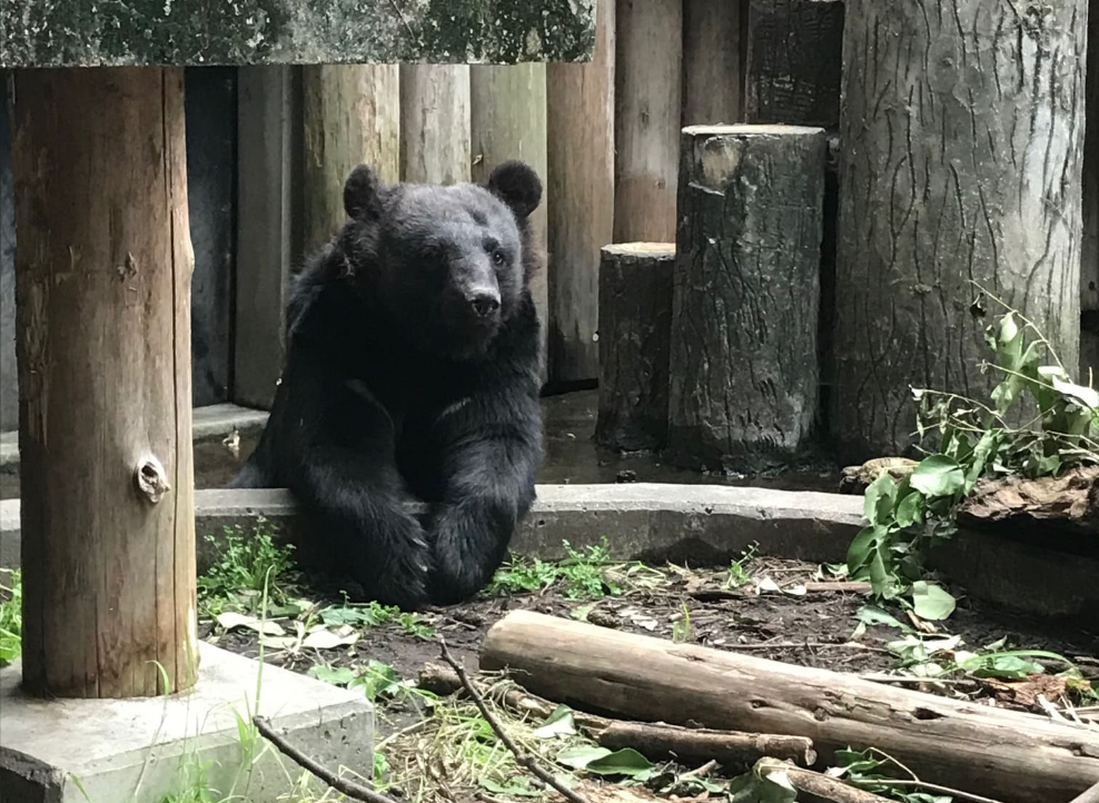 大宮公園小動物園