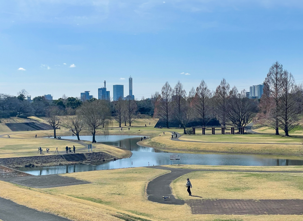 遊水池広場