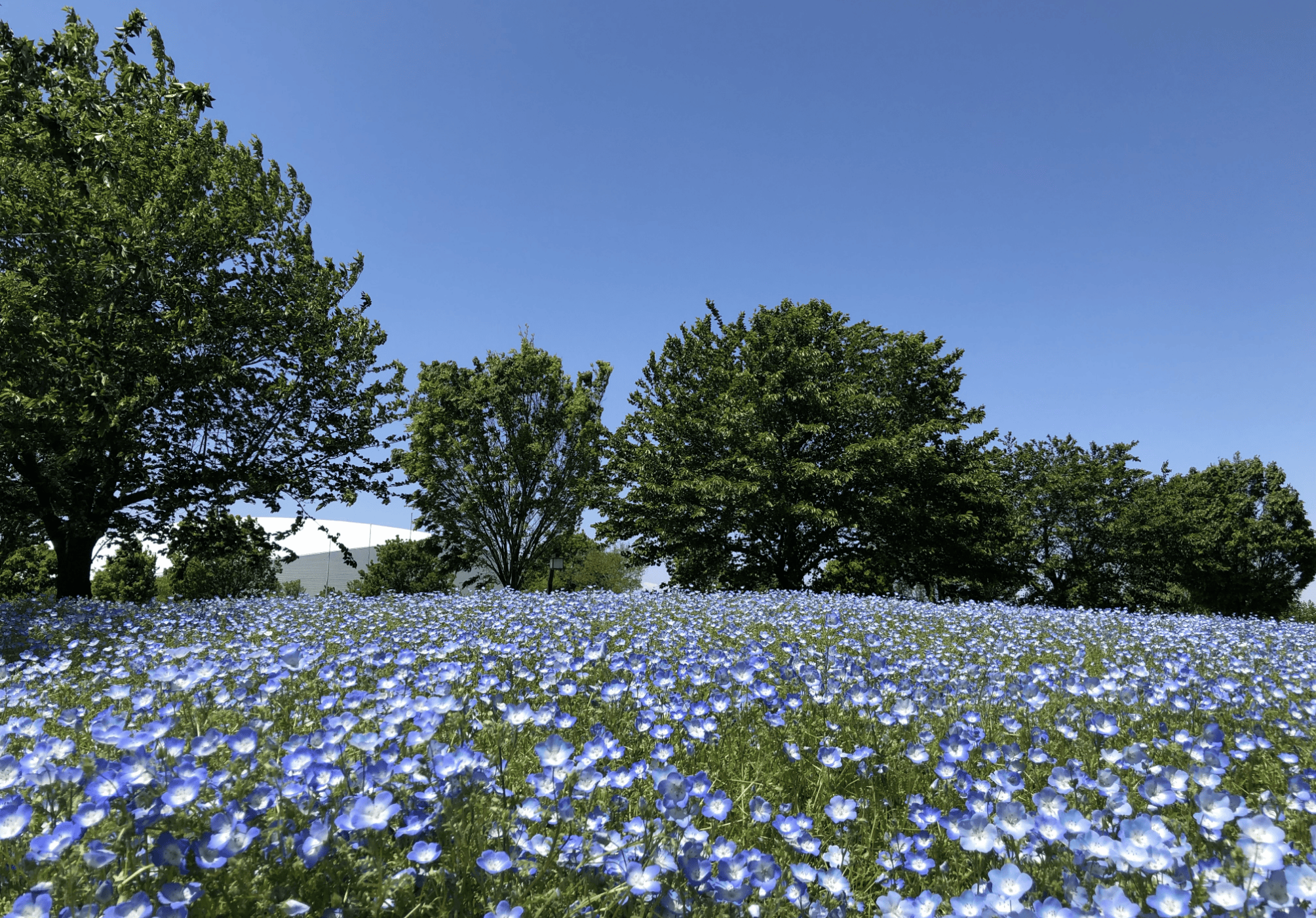 熊谷スポーツ文化公園