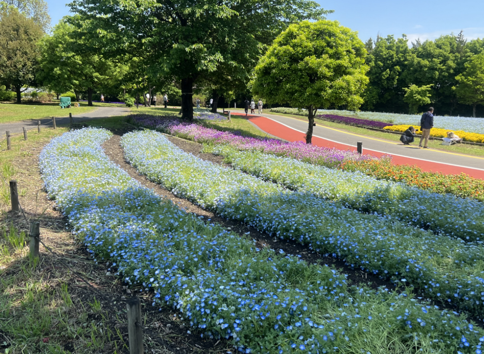 熊谷スポーツ文化公園