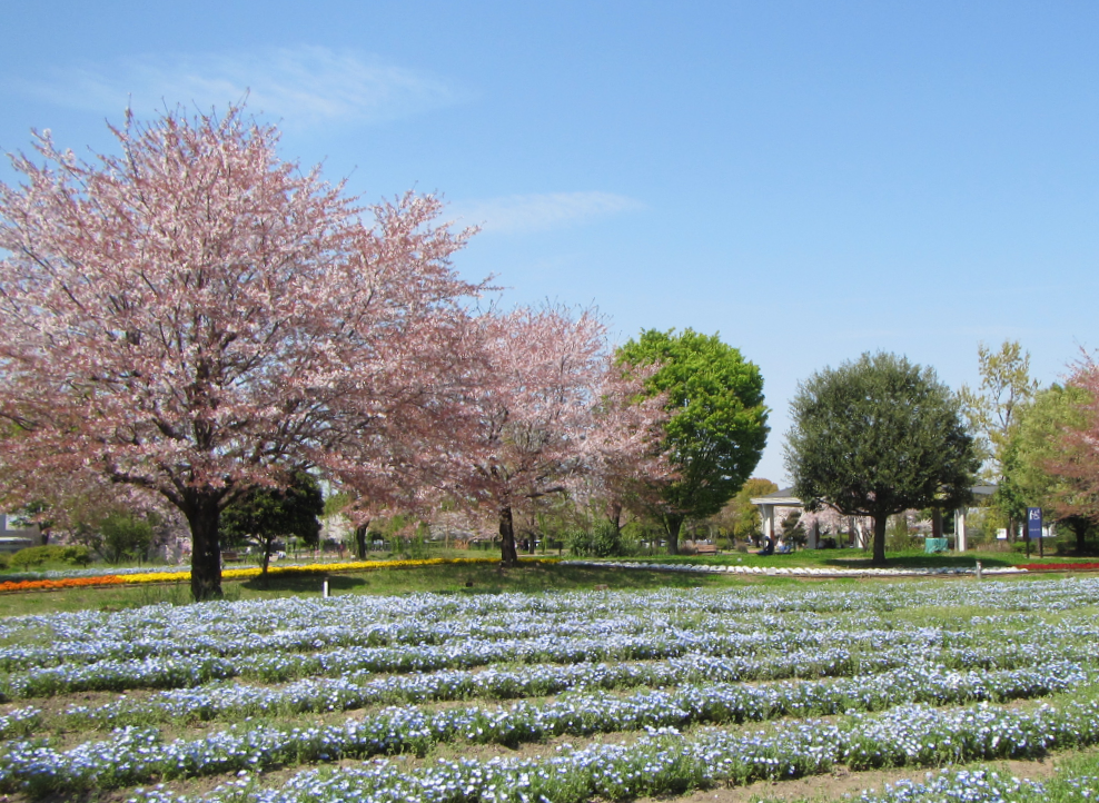 熊谷スポーツ文化公園