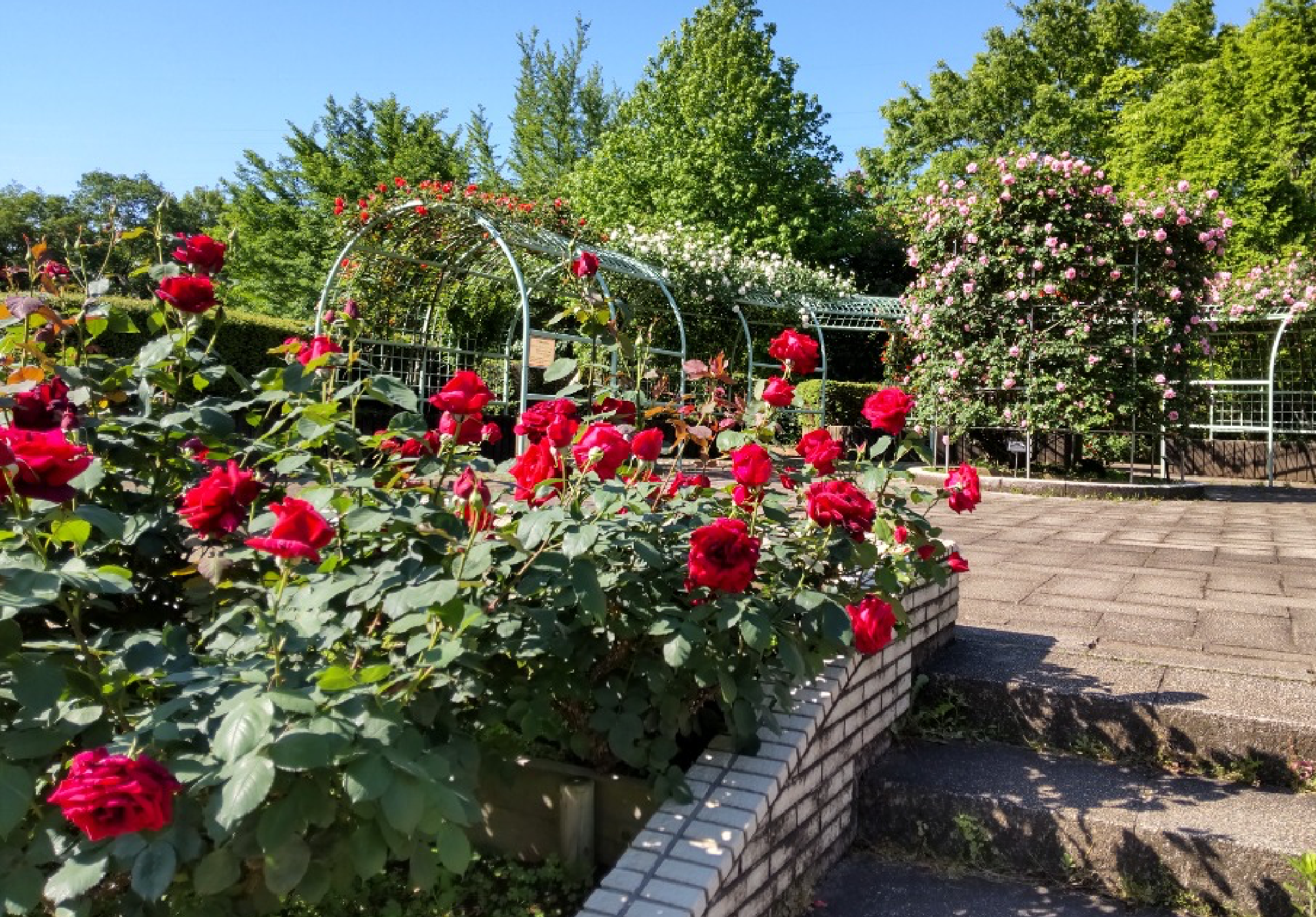 智光山公園
