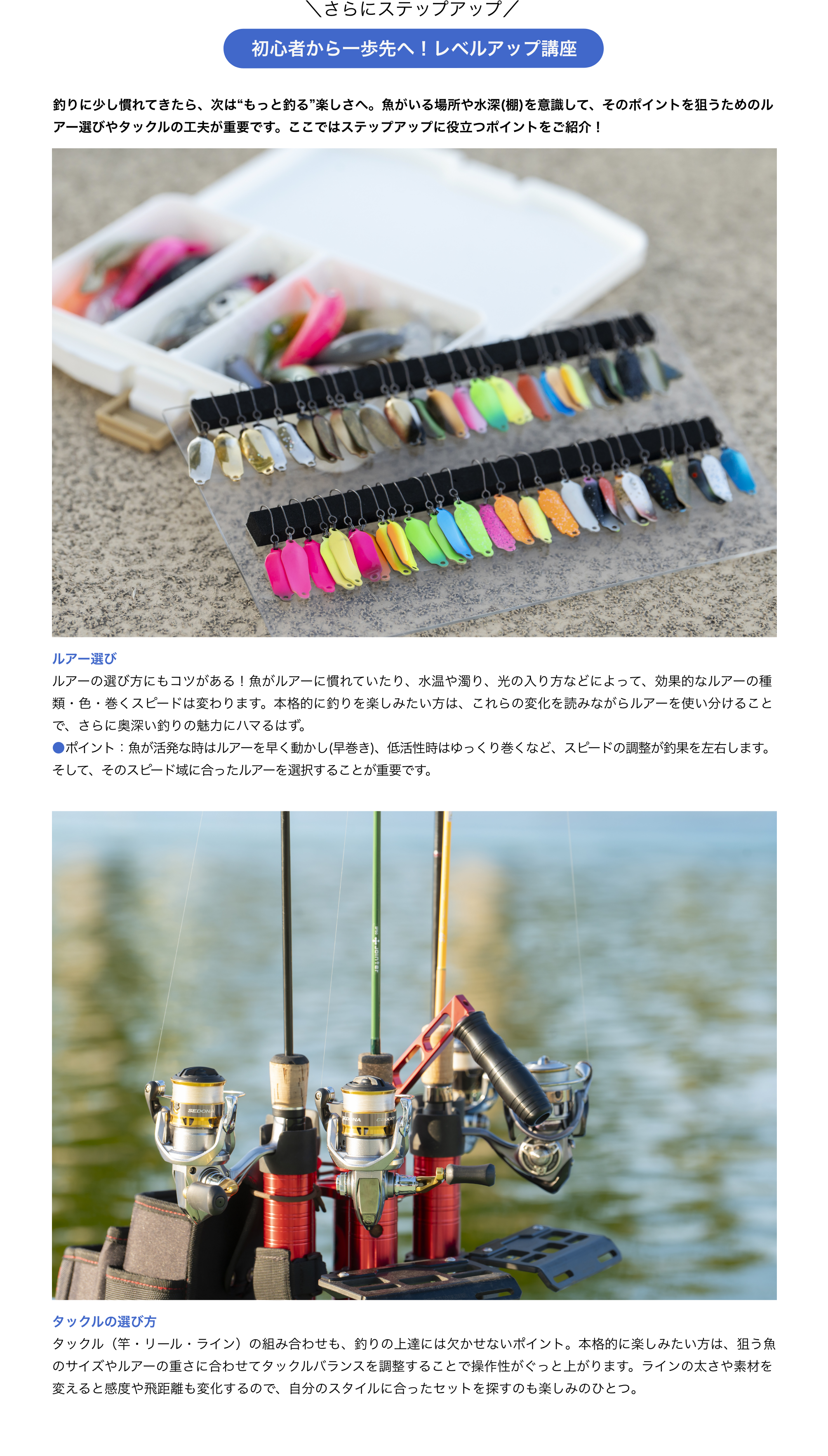 レベルアップ講座